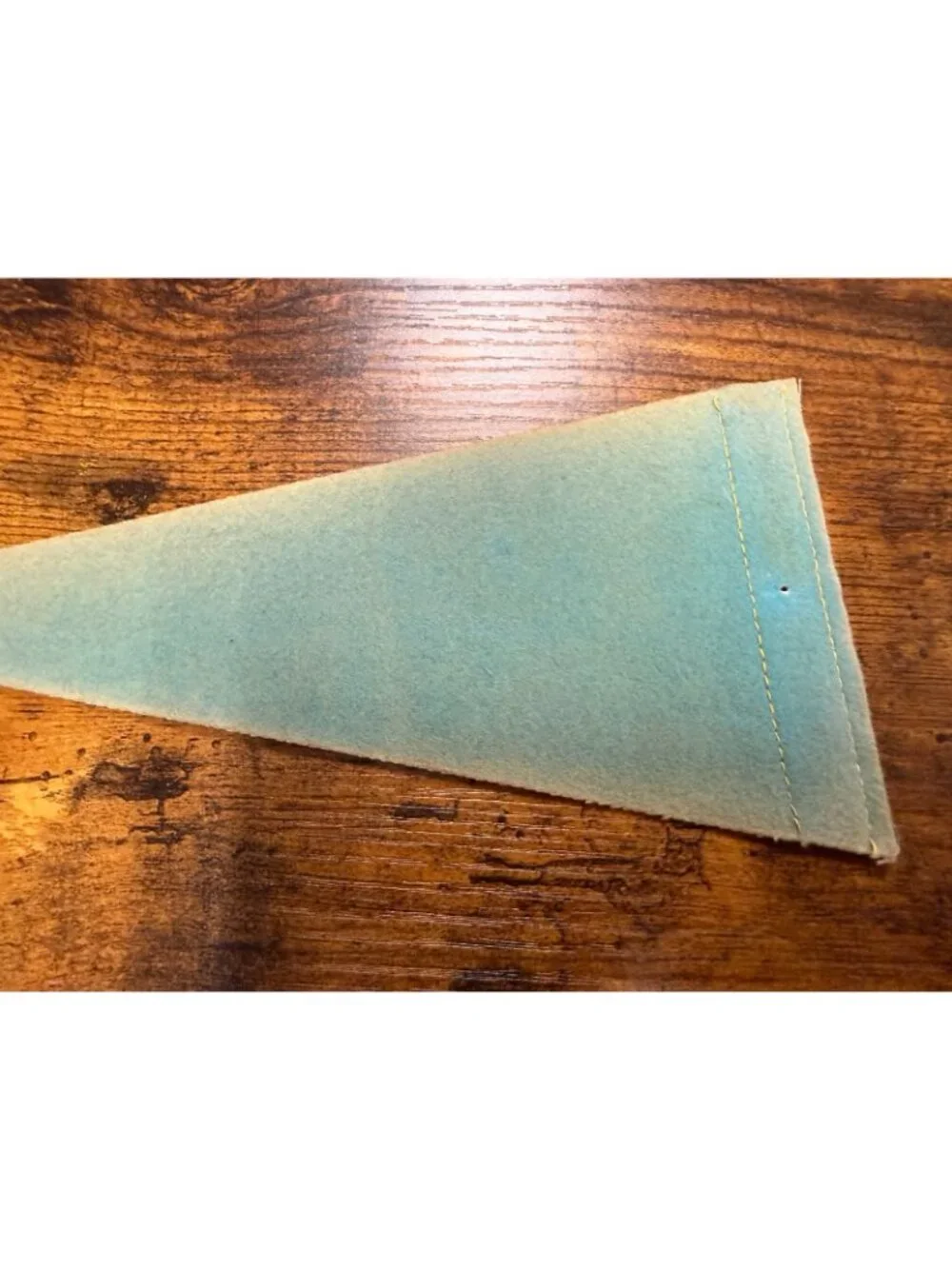 Vintage Virginia mini pennant